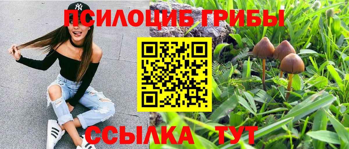 Арсеньев  Галлюциногенные грибы ЛСД  Вход с VPN 