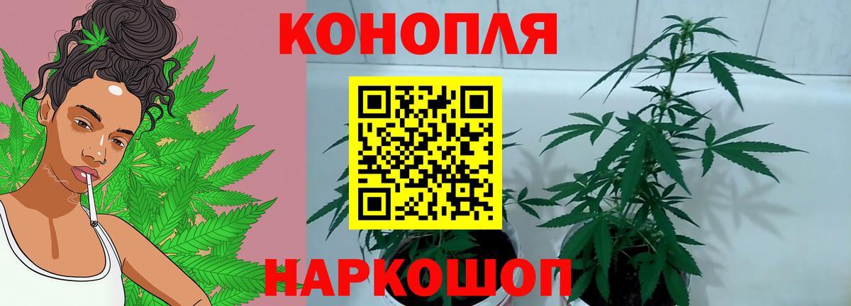 Канабис индика Арсеньев